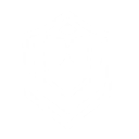 Defender